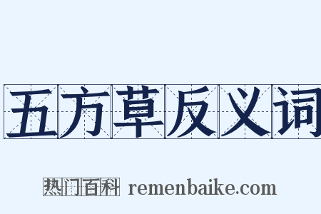 五方草反义词是什么意思的图片